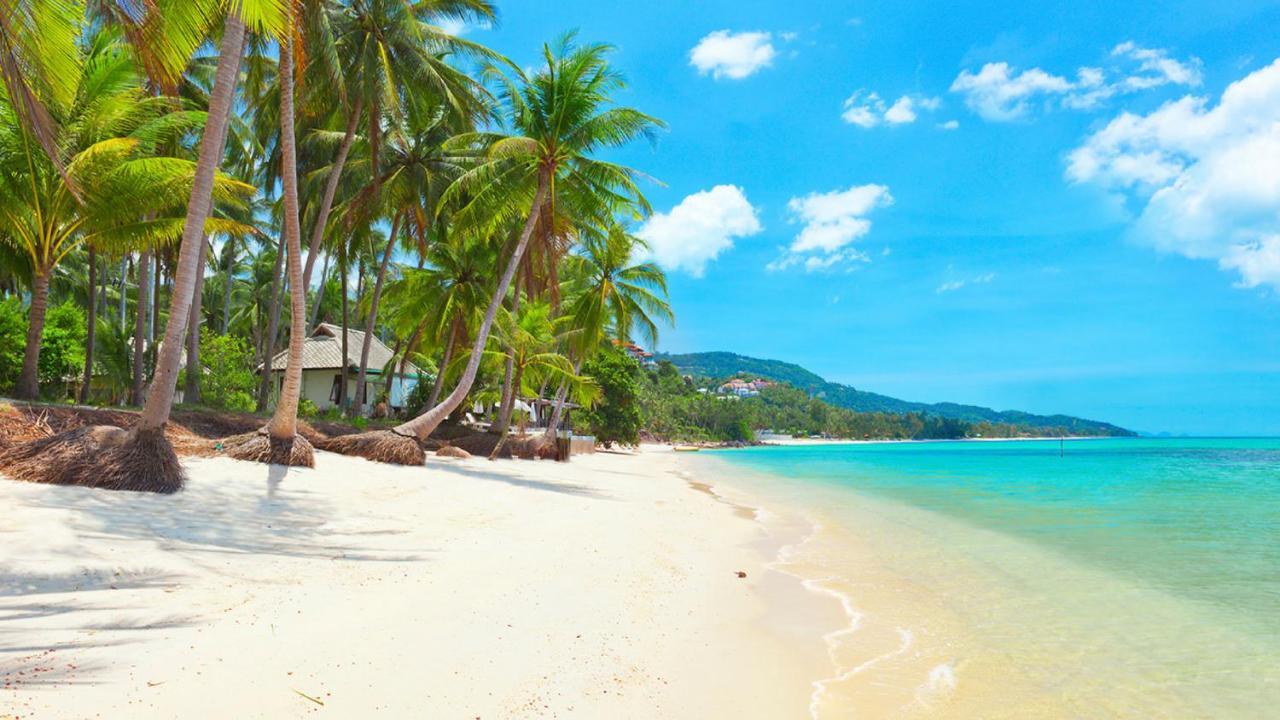 Bed and Breakfast Samui Blue Bird Мае-Нам Екстер'єр фото