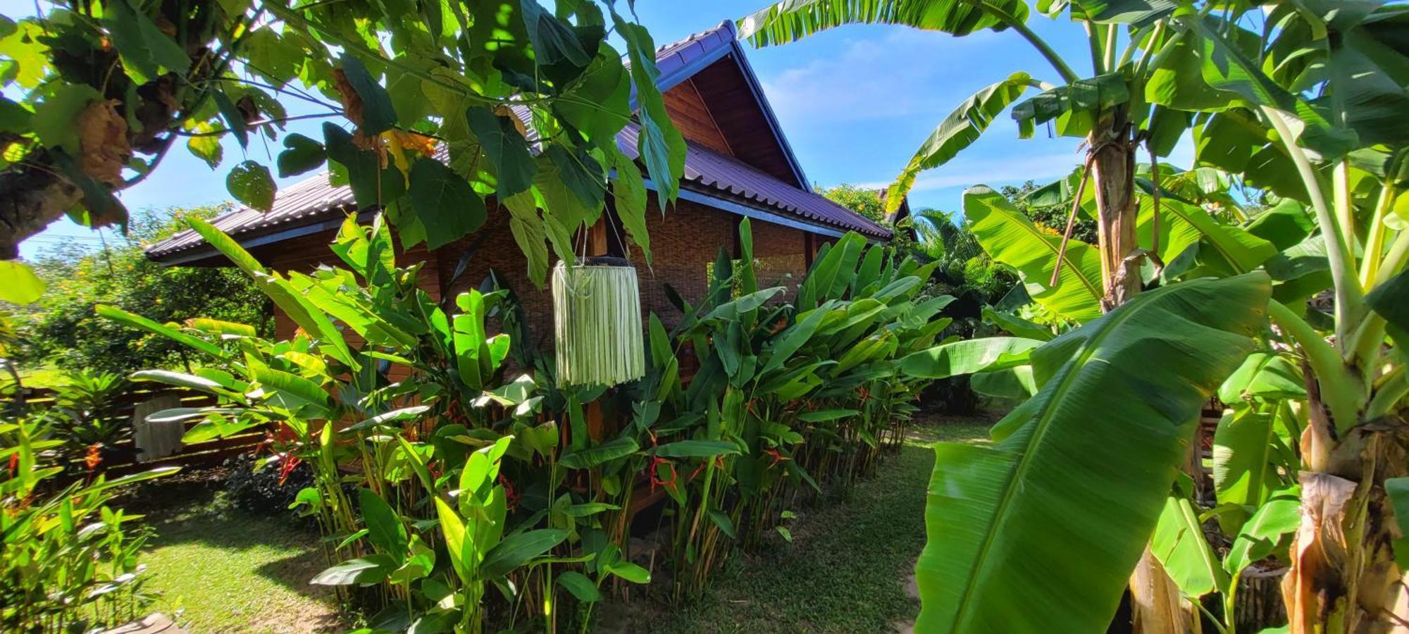 Bed and Breakfast Samui Blue Bird Мае-Нам Екстер'єр фото