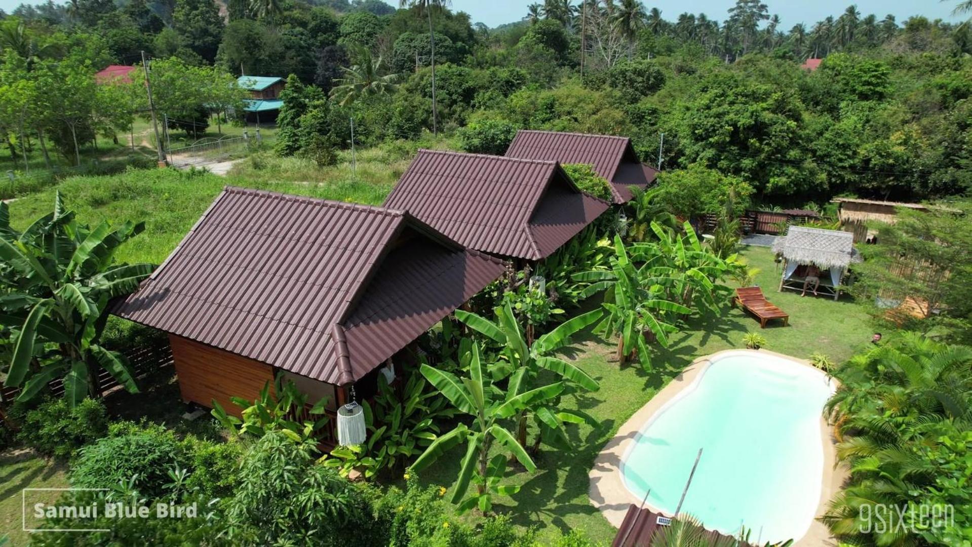 Bed and Breakfast Samui Blue Bird Мае-Нам Екстер'єр фото